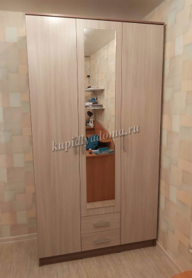 Шкаф распашной Трио (Ясень шимо темный/Ясень шимо светлый)