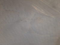 WhatsApp Image 2025-01-30 at 11.03.01