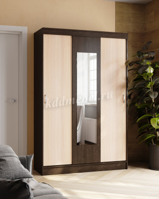 Шкаф-купе Бася (Венге/Дуб молочный)