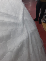 WhatsApp Image 2025-01-30 at 11.00.21