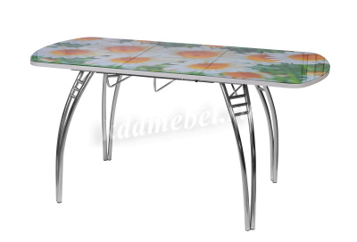 Стол обеденный раздвижной Паук-2 В5 (Ромашки)