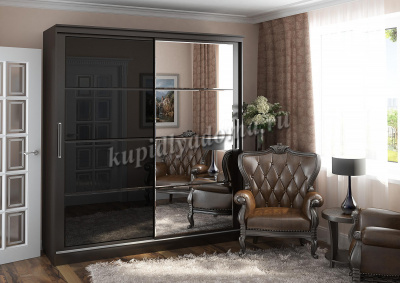 Шкаф-купе Танго-2 1500 (Венге)