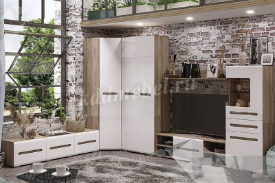 Шкаф угловой Наоми ШК-21 (Дуб каньон/Белый глянец) 