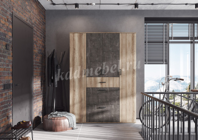 Шкаф распашной Нельсон-3 (Дуб каньон/Железный камень)