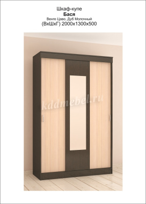 Шкаф-купе Бася (Венге/Дуб молочный)
