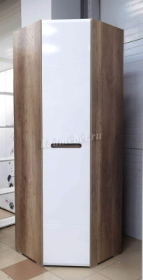 Шкаф угловой Наоми ШК-21 (Дуб каньон/Белый глянец) 