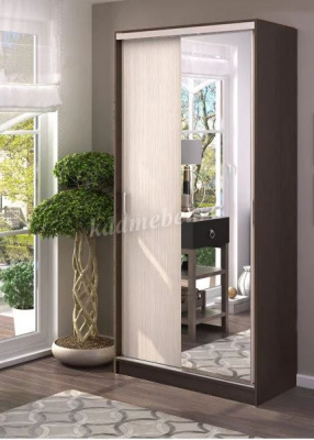 Шкаф-купе Альянс-1 1000 (Венге/Дуб белфорт)