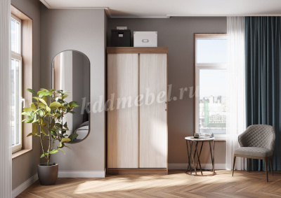 Шкаф-купе Евро 1000 (Ясень шимо темный/Ясень шимо светлый)