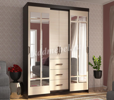 Шкаф-купе Комфорт №6 М (Венге/Дуб молочный)