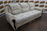 ирбис линейный (3)