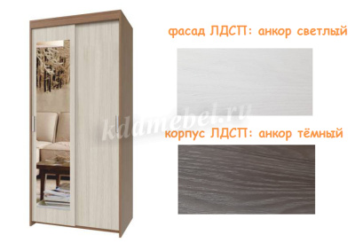 Шкаф-купе Томас Т-22 2-х дверный с зеркалом (Анкор тёмный/Анкор светлый)