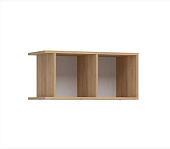 Полка Ирис ПЛ 01 (Дуб крафт золото/Белый)