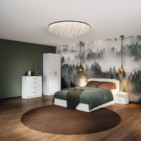 Спальня Чикаго с 2дв шк