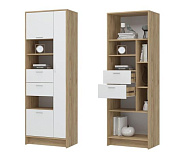 Шкаф распашной Ирис ШК-05 (Дуб крафт золото/Белый)