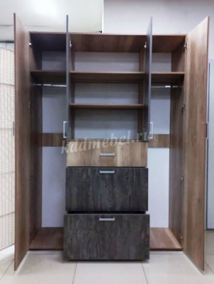 Шкаф распашной Нельсон-3 (Дуб каньон/Железный камень)