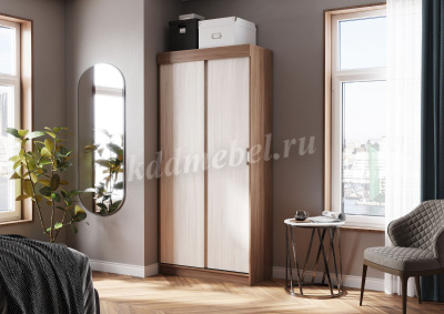 Шкаф-купе Евро 1000 (Ясень шимо темный/Ясень шимо светлый)
