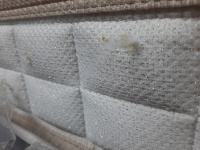 WhatsApp Image 2025-01-30 at 10.59.56 WhatsApp Image 2025-01-30 at 10.59.56