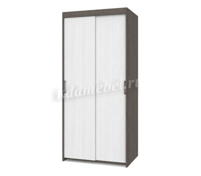 Шкаф-купе Томас Т-21 2-х дверный (Анкор тёмный/Анкор светлый)