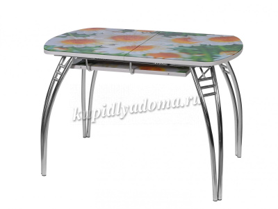 Стол обеденный раздвижной Паук-2 В5 (Ромашки)