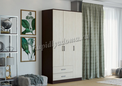 Шкаф распашной Нарус 3-х створчатый с ящиками (Венге/Дуб белфорт)