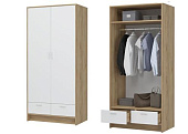 Шкаф распашной Ирис 2-х створчатый (Дуб крафт золото/Белый)