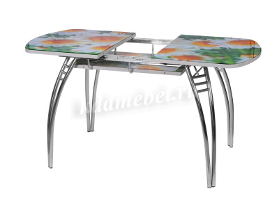 Стол обеденный раздвижной Паук-2 В5 (Ромашки)