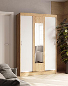 Шкаф-купе Бася (Белый/Дуб крафт золотой)